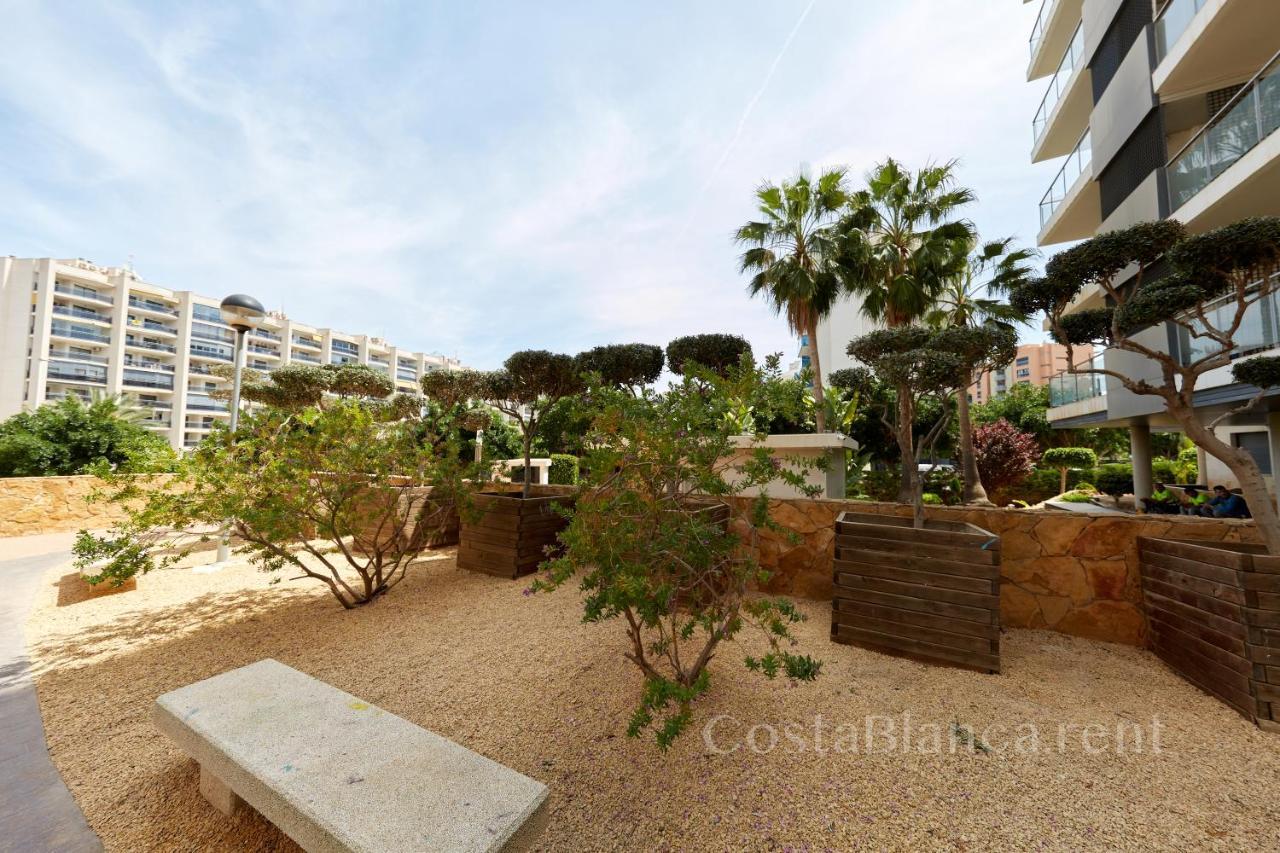 Luxurious, Newly-Renovated Large 2-Bedroom Condo By The Beach Μπένιντορμ Εξωτερικό φωτογραφία